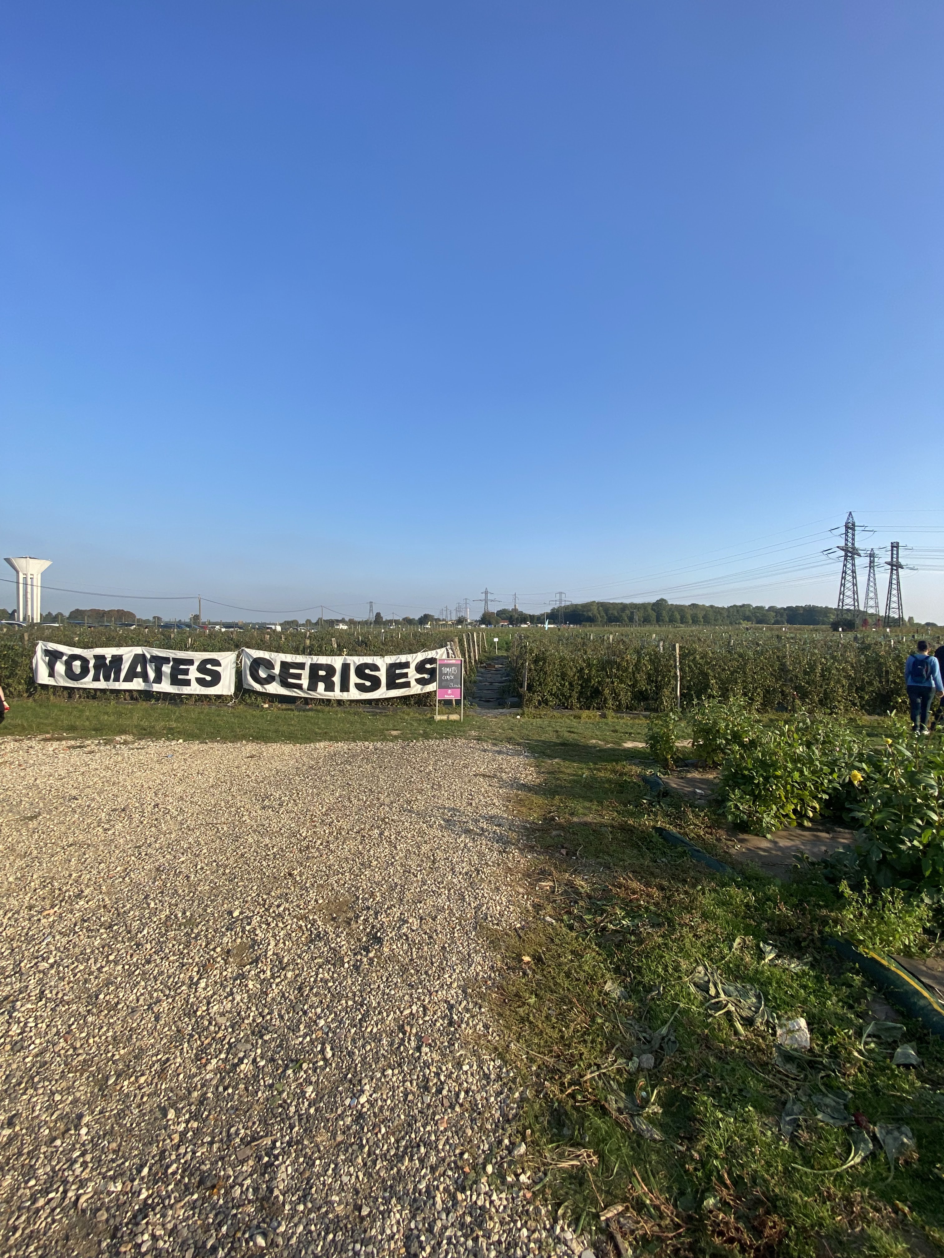 Photo n° 2 de l'avis de Épicurien. fait le 10/10/2021 à 15:22