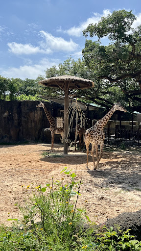 Houston Zoo