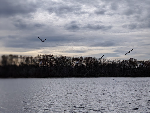 State Park «Lowell Heritage State Park», reviews and photos, 160 Pawtucket Blvd, Lowell, MA 01854, USA