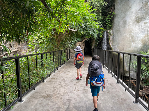 Zoo «Lied Jungle», reviews and photos, 916 D St, Omaha, NE 68107, USA