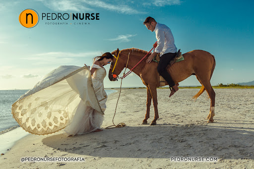 Pedro Nurse Fotografía + Cinema
