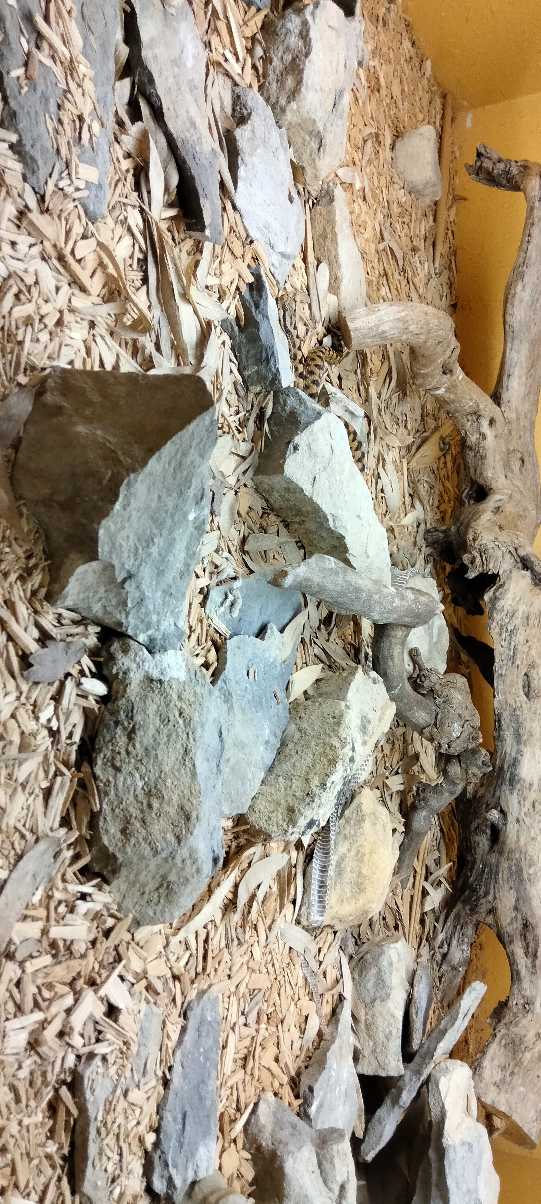 Photo n° 13 de l'avis de Dany.u fait le 19/03/2023 à 19:21