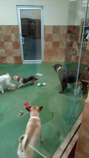 Pet Supply Store «PetSmart», reviews and photos, 3803 Venture Dr, Duluth, GA 30096, USA