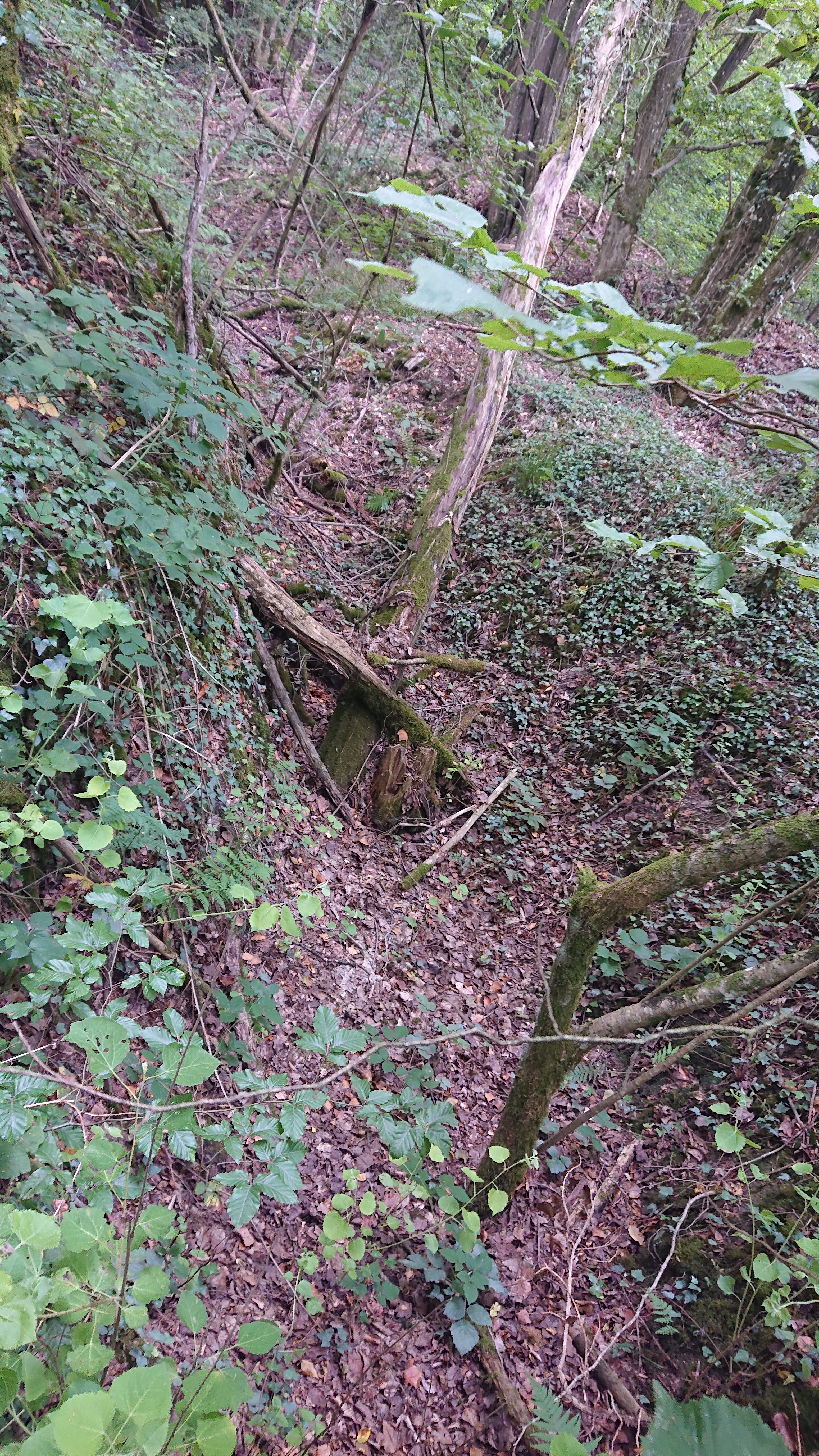 Photo n° 6 de l'avis de Anne-Laure.u fait le 22/04/2018 à 17:29