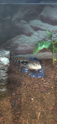 Pet Supply Store «Petco Animal Supplies», reviews and photos, 31419 Pacific Hwy S, Federal Way, WA 98003, USA