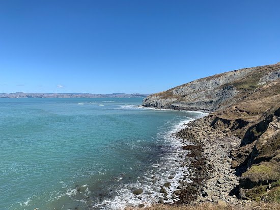 Sponge Bay Beach