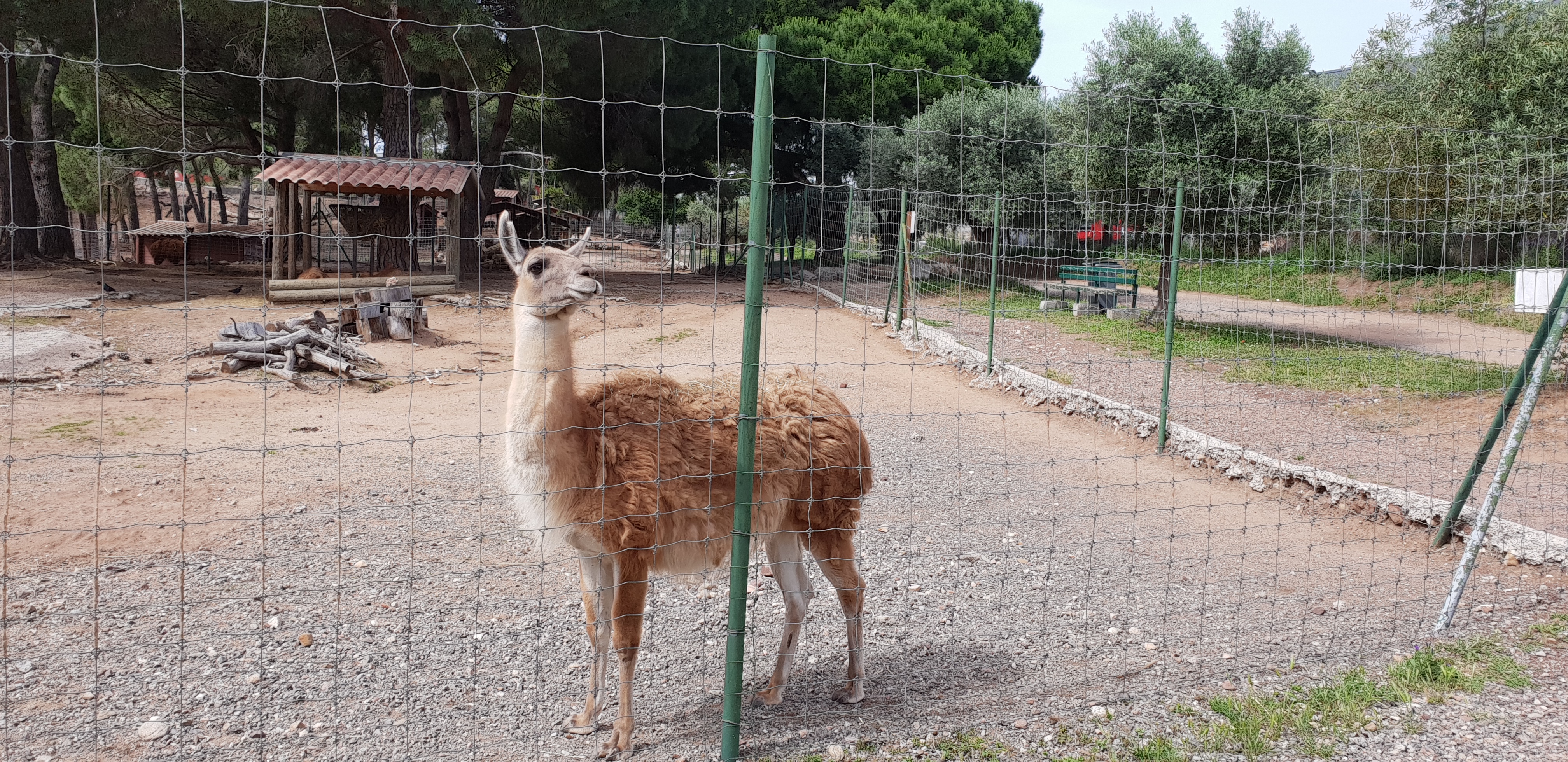 Photo n° 16 de l'avis de Anthony. fait le 11/06/2018 à 14:44