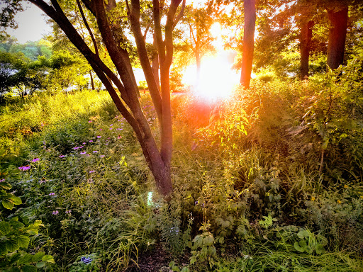 Public Golf Course «Pottawatomie Golf Course», reviews and photos, 845 N 2nd Ave, St Charles, IL 60174, USA