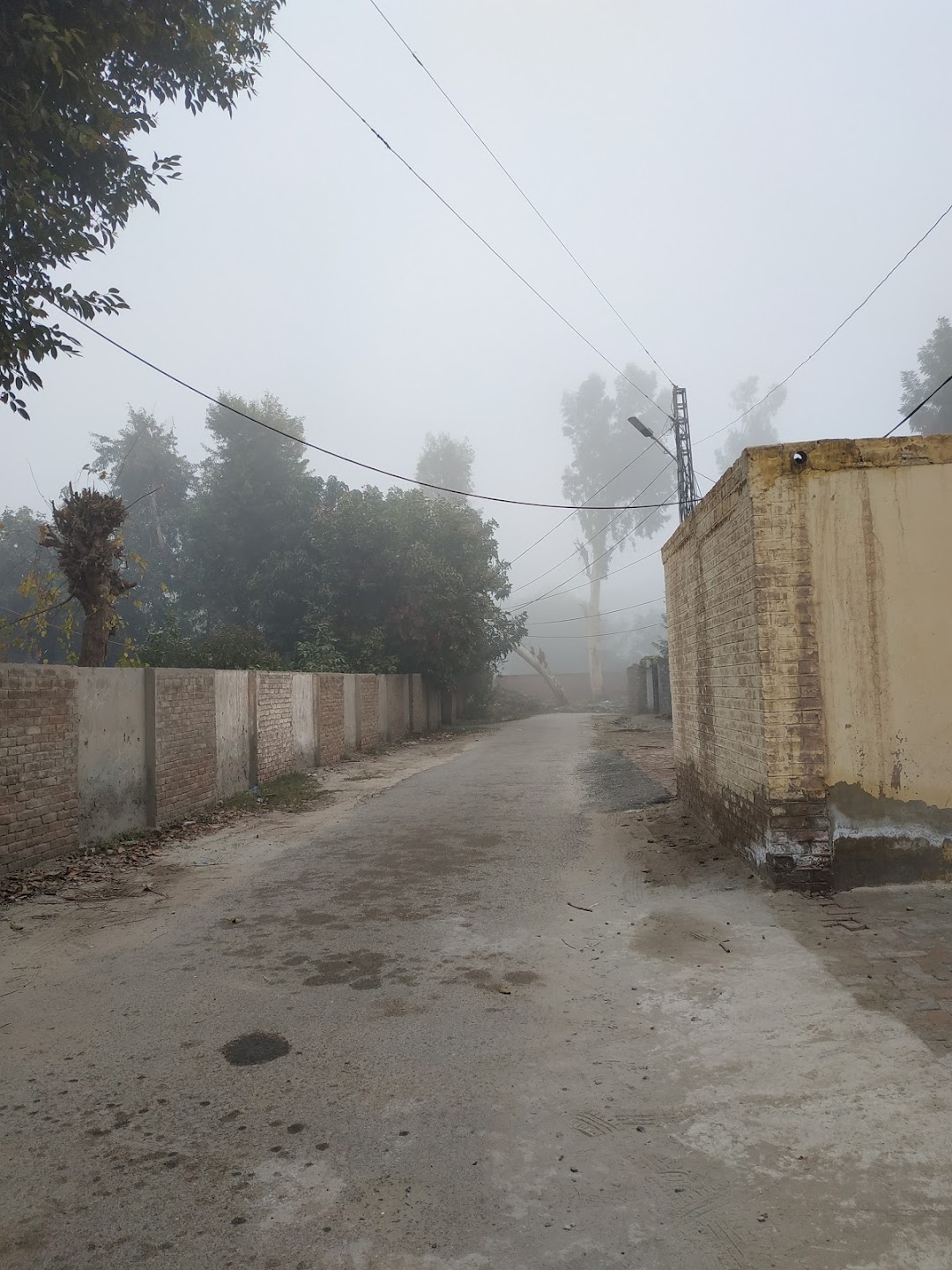 Jamia Masjid Abu Bakar Siddiq