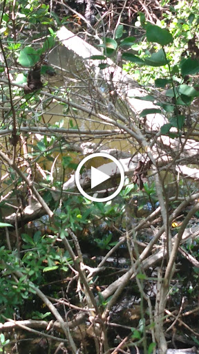 Nature Preserve «Emerson Point Preserve», reviews and photos, 5801 17th St W, Palmetto, FL 34221, USA