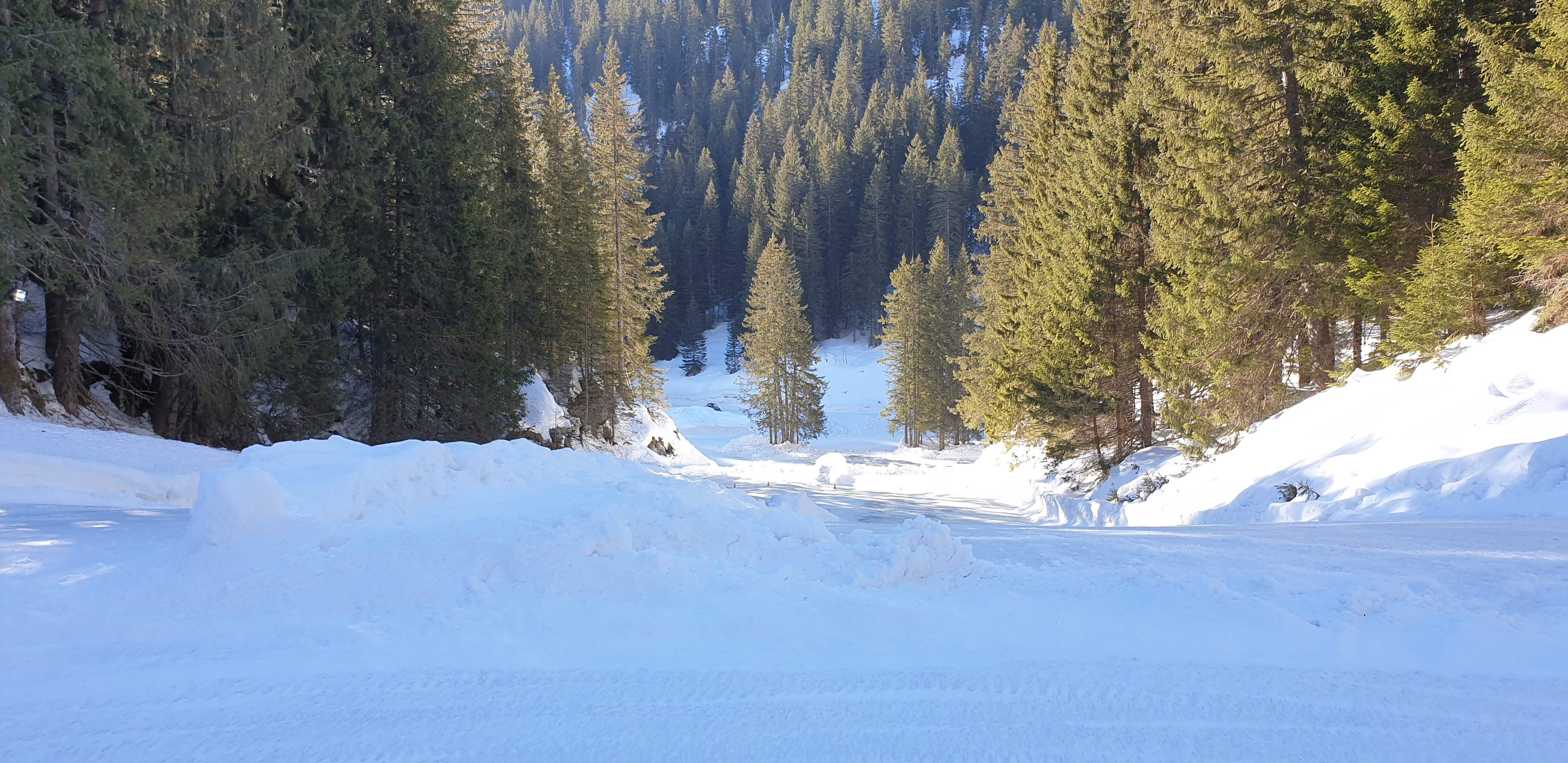 Photo n° 5 de l'avis de Céline.e fait le 12/03/2019 à 21:58