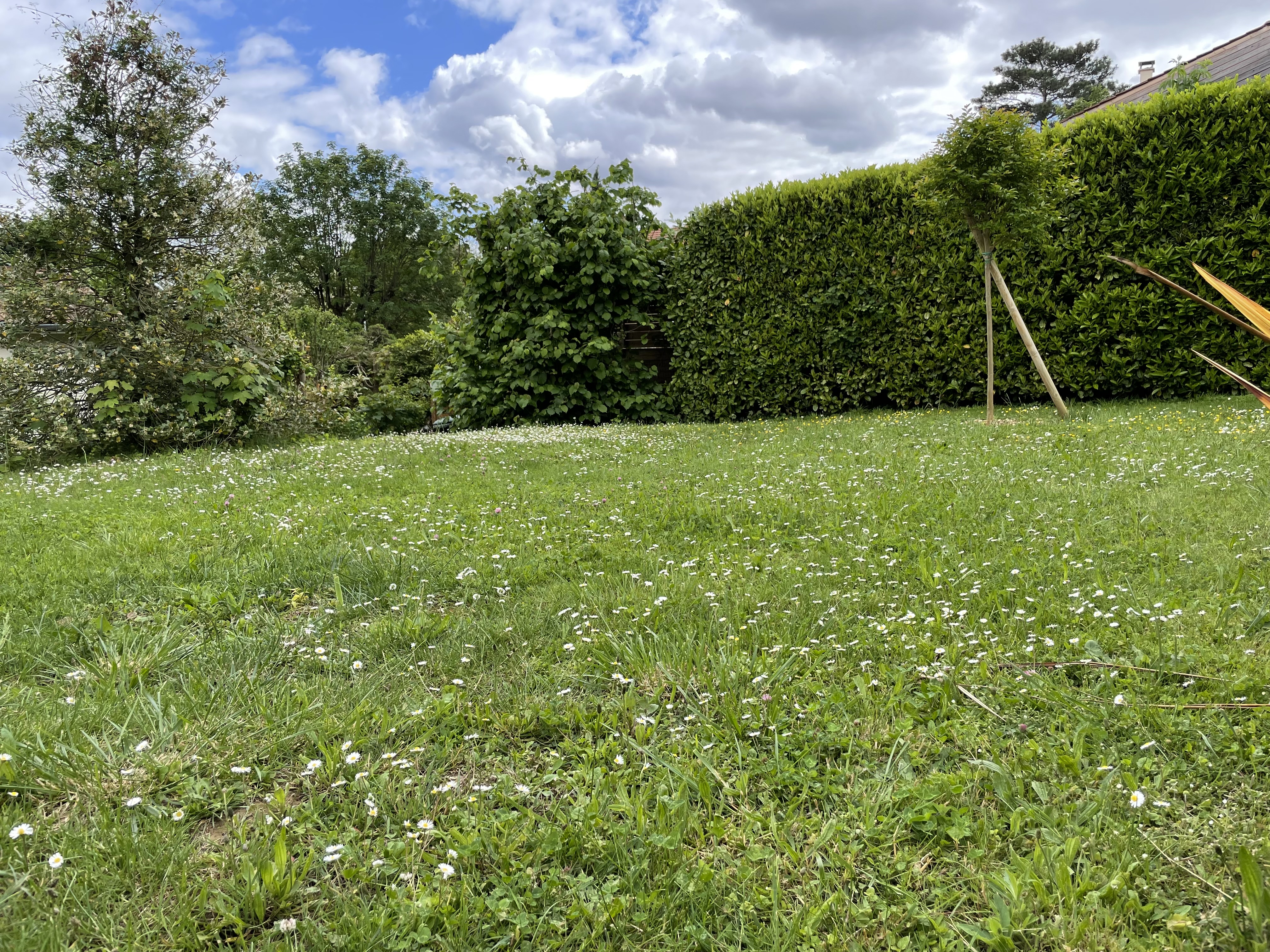 Photo n° 1 de l'avis de vix.o fait le 30/05/2023 à 16:51