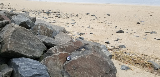 Nature Preserve «Welwyn Preserve», reviews and photos, 100 Crescent Beach Rd, Glen Cove, NY 11542, USA