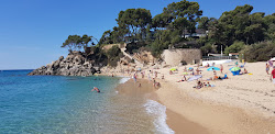 Photo de Plage de Cala Gogo avec un niveau de propreté de très propre