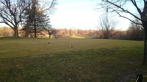 Golf Course «Hilltop Golf Course», reviews and photos, 47000 Powell Rd, Plymouth, MI 48170, USA