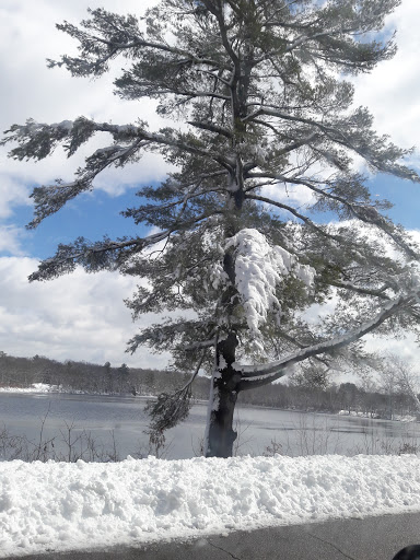 Museum «Fuller Craft Museum», reviews and photos, 455 Oak St, Brockton, MA 02301, USA