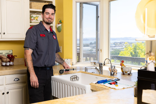 Gotelli Plumbing Company image