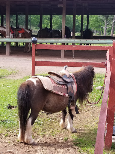 Zoo «Bailiwick Animal Park and Riding Stables», reviews and photos, 118 Castle Rd, Catskill, NY 12414, USA