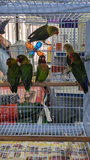 Pet Supply Store «Neighborhood Pet Shop», reviews and photos, 574 Hialeah Dr, Hialeah, FL 33010, USA