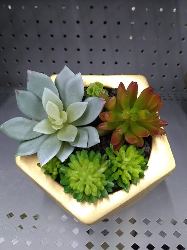 Shopping Mall «Town Line Plaza», reviews and photos, 80 Town Line Rd, Rocky Hill, CT 06067, USA