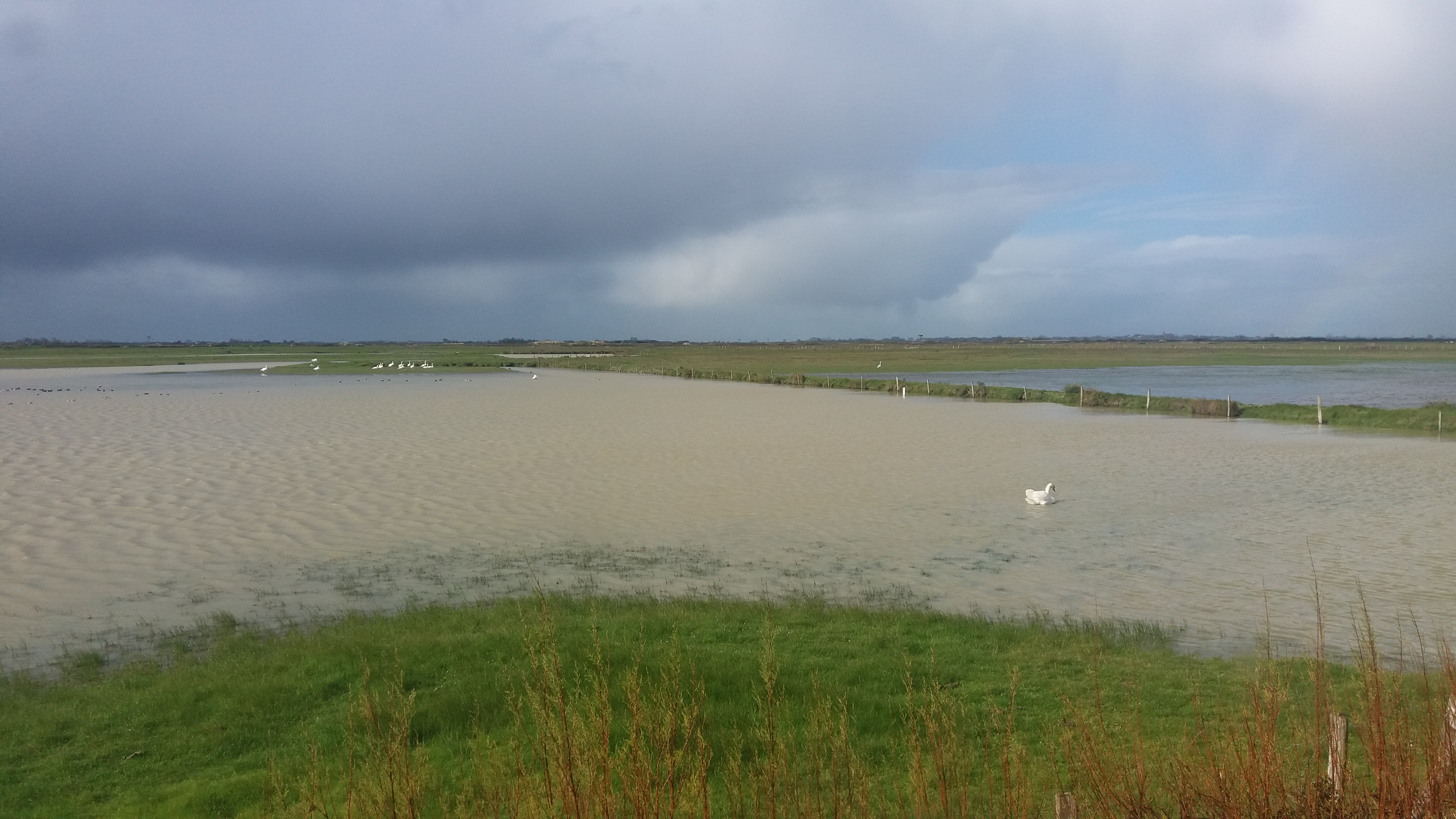 Photo n° 3 de l'avis de Thaiis.e fait le 18/04/2019 à 06:04