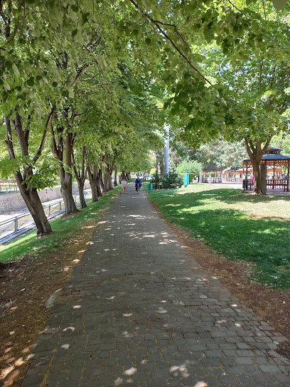 Şehir Parkı
