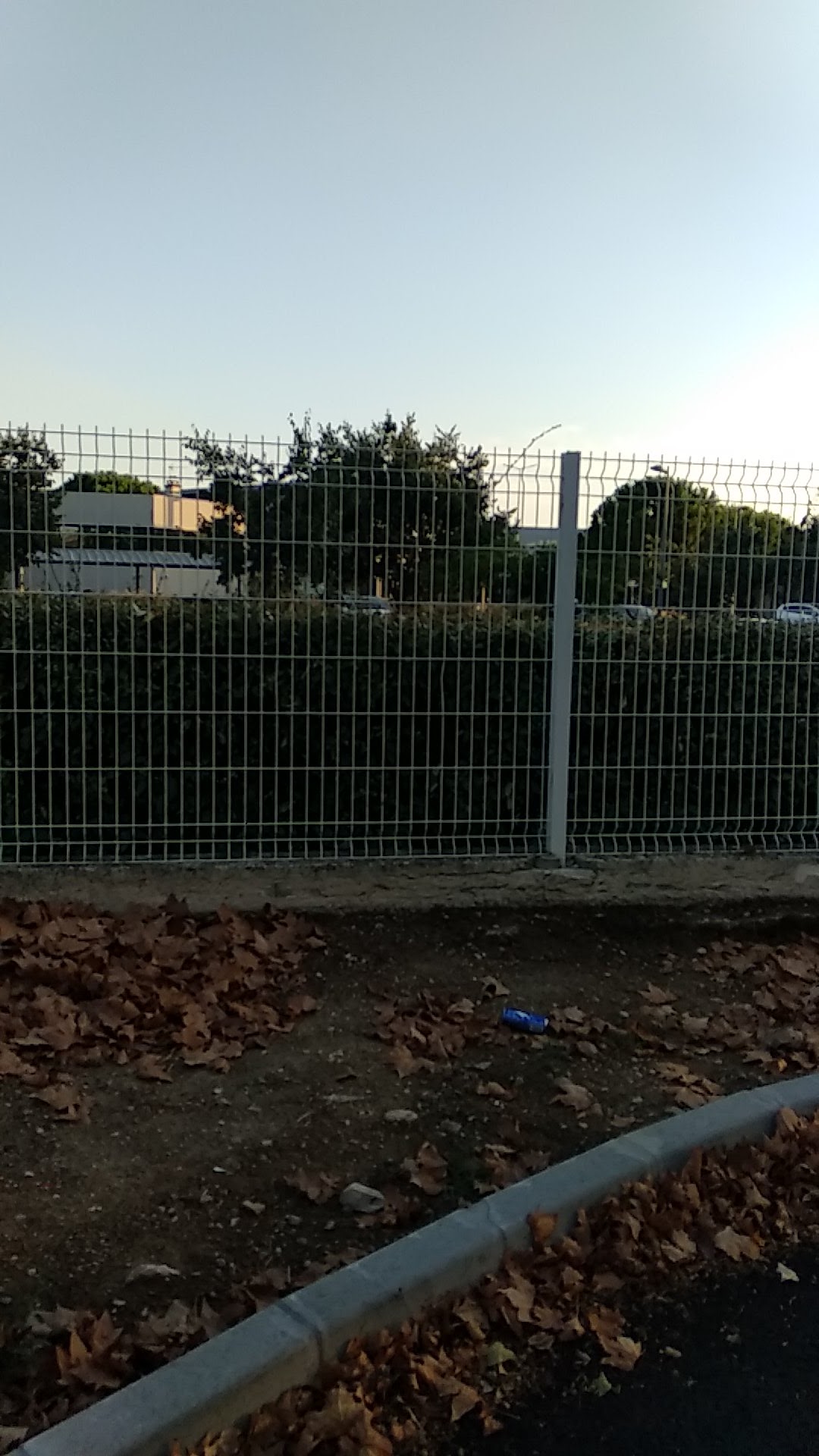 Photo n° 22 de l'avis de Ruchi. fait le 14/08/2022 à 18:01