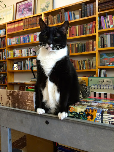 Used Book Store «Book Buyers», reviews and photos, 1306 The Plaza, Charlotte, NC 28205, USA