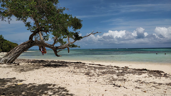 Anse du Mancenillier Beach