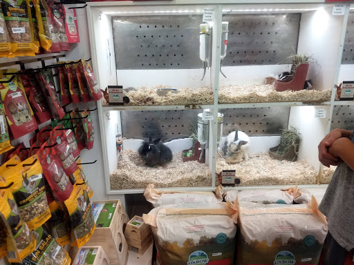 Pet Supply Store «Buckles Feed Depot & Pet Supply», reviews and photos, 220 S 4th St, Lafayette, IN 47901, USA