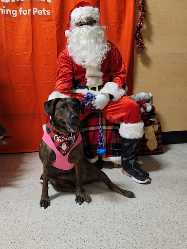 Pet Supply Store «PetSmart», reviews and photos, 1291 Churchmans Rd, Newark, DE 19713, USA