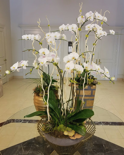 Oglethorpe Orchids