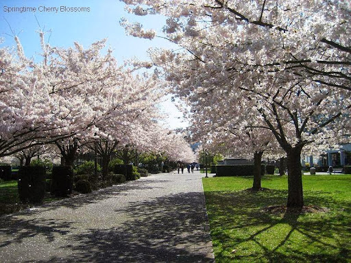 Real Estate Agency «The Salem Real Estate Group, Inc.», reviews and photos, 6444 Fairway Ave SE, Salem, OR 97306, USA