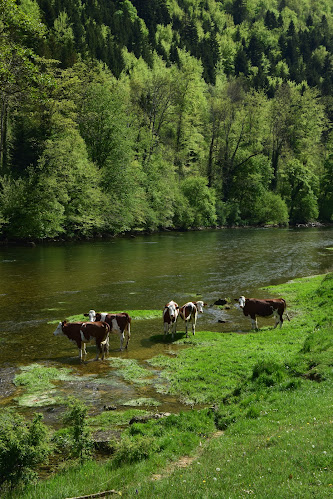 Camping abderhalden - Neuenburg