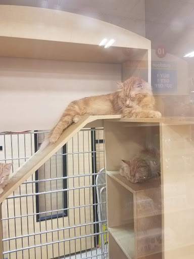 Pet Supply Store «PetSmart», reviews and photos, 131 Highlands Blvd Dr, Manchester, MO 63011, USA