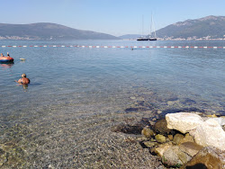 Plazha Ponta'in fotoğrafı imkanlar alanı