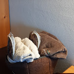 Photo n°4 de l'avis de Nicoletta.a fait le 26/08/2023 à 19:15 sur le  Hotel Lärchenhof à Maranza