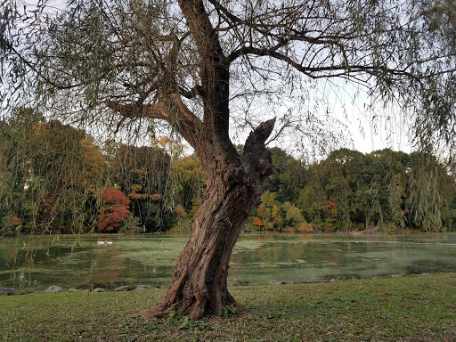 Golf Course «Van Cortlandt Park Golf Course», reviews and photos, 115 Van Cortlandt Park S, Bronx, NY 10471, USA