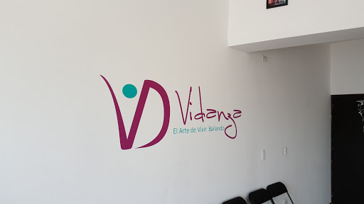 Vidanza Academia de Baile