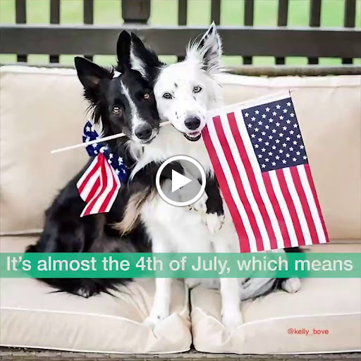 Pet Supply Store «Grrs & Purrs», reviews and photos, 116 N Woodland Blvd, DeLand, FL 32720, USA