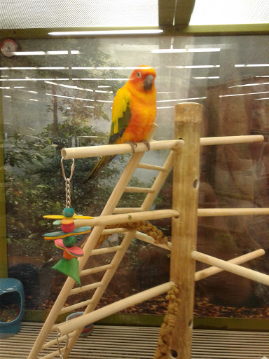 Pet Supply Store «Petco Animal Supplies», reviews and photos, 1753 St Lucie W Blvd, Port St Lucie, FL 34986, USA