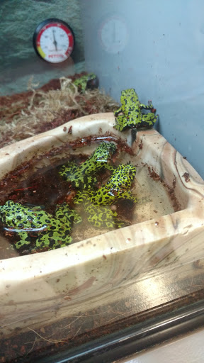 Pet Supply Store «Petco Animal Supplies», reviews and photos, 2277 Ford Pkwy, St Paul, MN 55116, USA