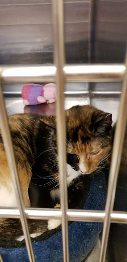 Pet Supply Store «PetSmart», reviews and photos, 45 Park Pl Dr, Covington, LA 70433, USA