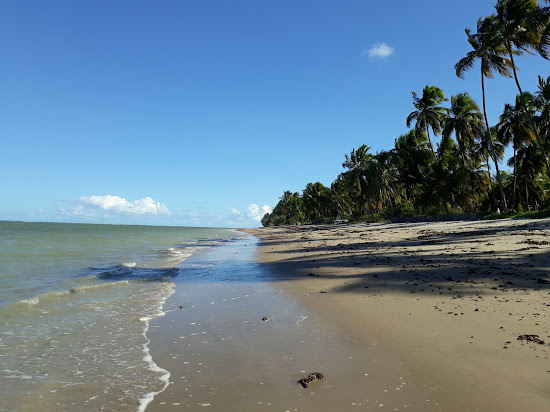 Praia do Patacho