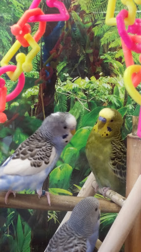 Pet Supply Store «Petco Animal Supplies», reviews and photos, 6805 Mills Civic Pkwy #140, West Des Moines, IA 50266, USA