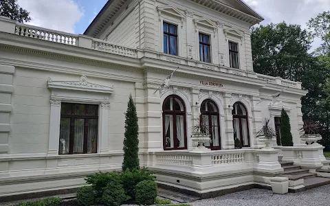 Villa Genowefa - Švėkšna Manor image
