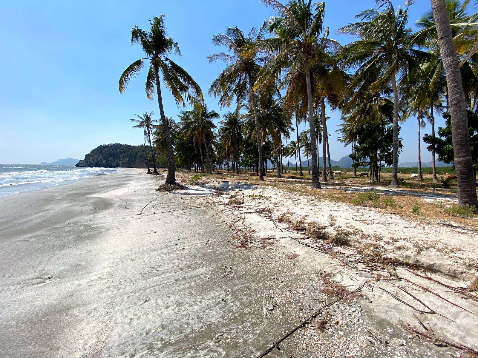 Photo de Sam Phraya Beach avec l'eau bleu-vert de surface