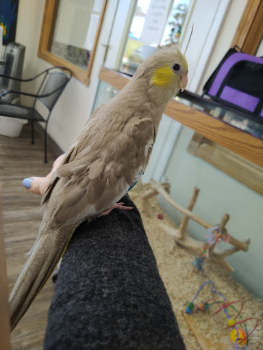 Bird Shop «Wholesale Bird & Cage LLC», reviews and photos, 1805 Ford Ln, St Charles, MO 63303, USA