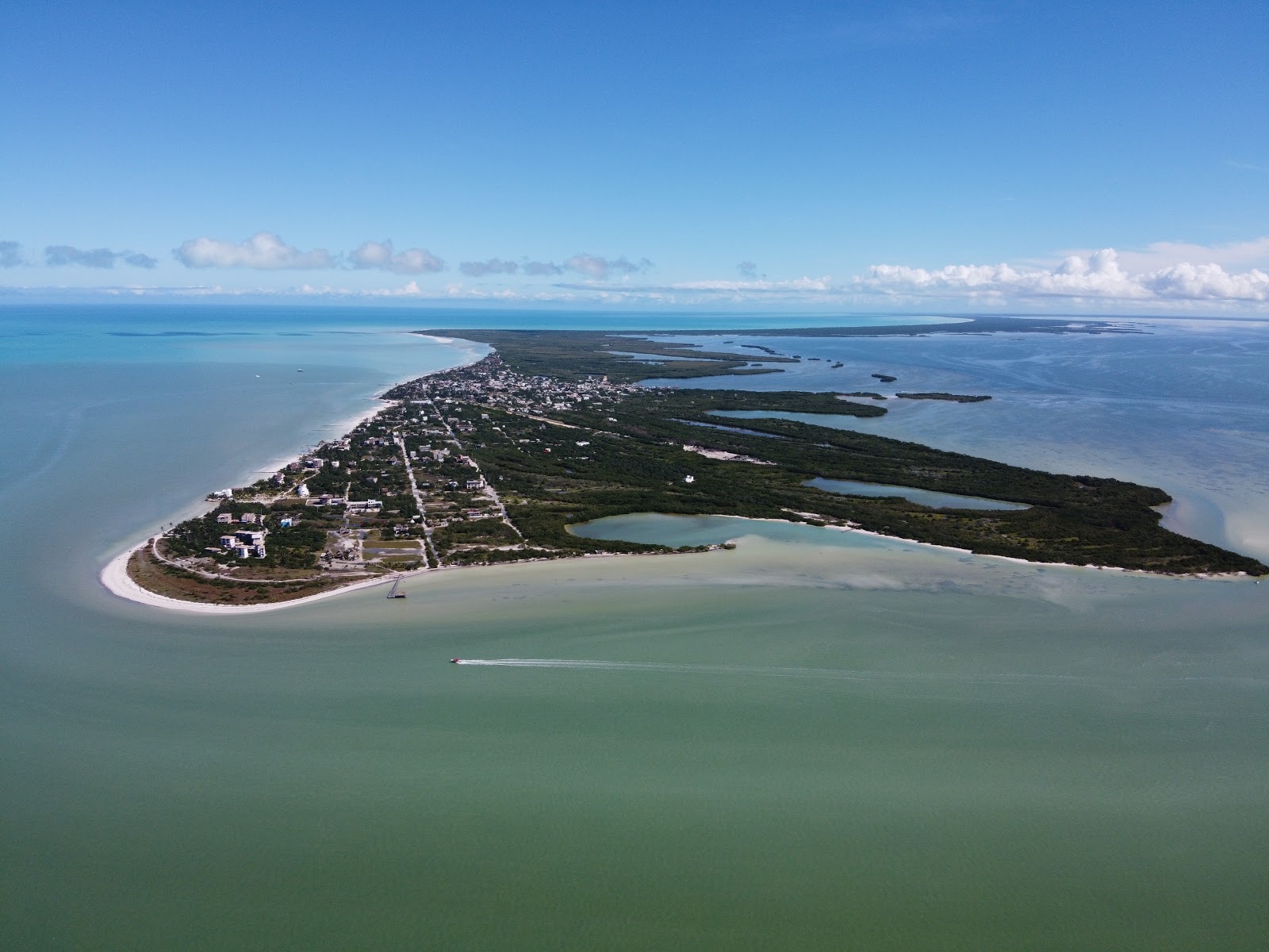 Playa Punta Cocos的照片 位于自然区域