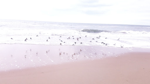 Grocery Store «Sandbridge Seaside Market», reviews and photos, 209 Sandbridge Rd, Virginia Beach, VA 23456, USA